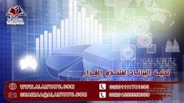تحليل البيانات لمتخذي القرار.jpg