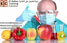 دورة الاغذيةpic.jpg