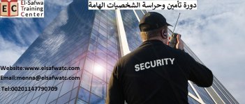 guarding and securing vips pic.jpg